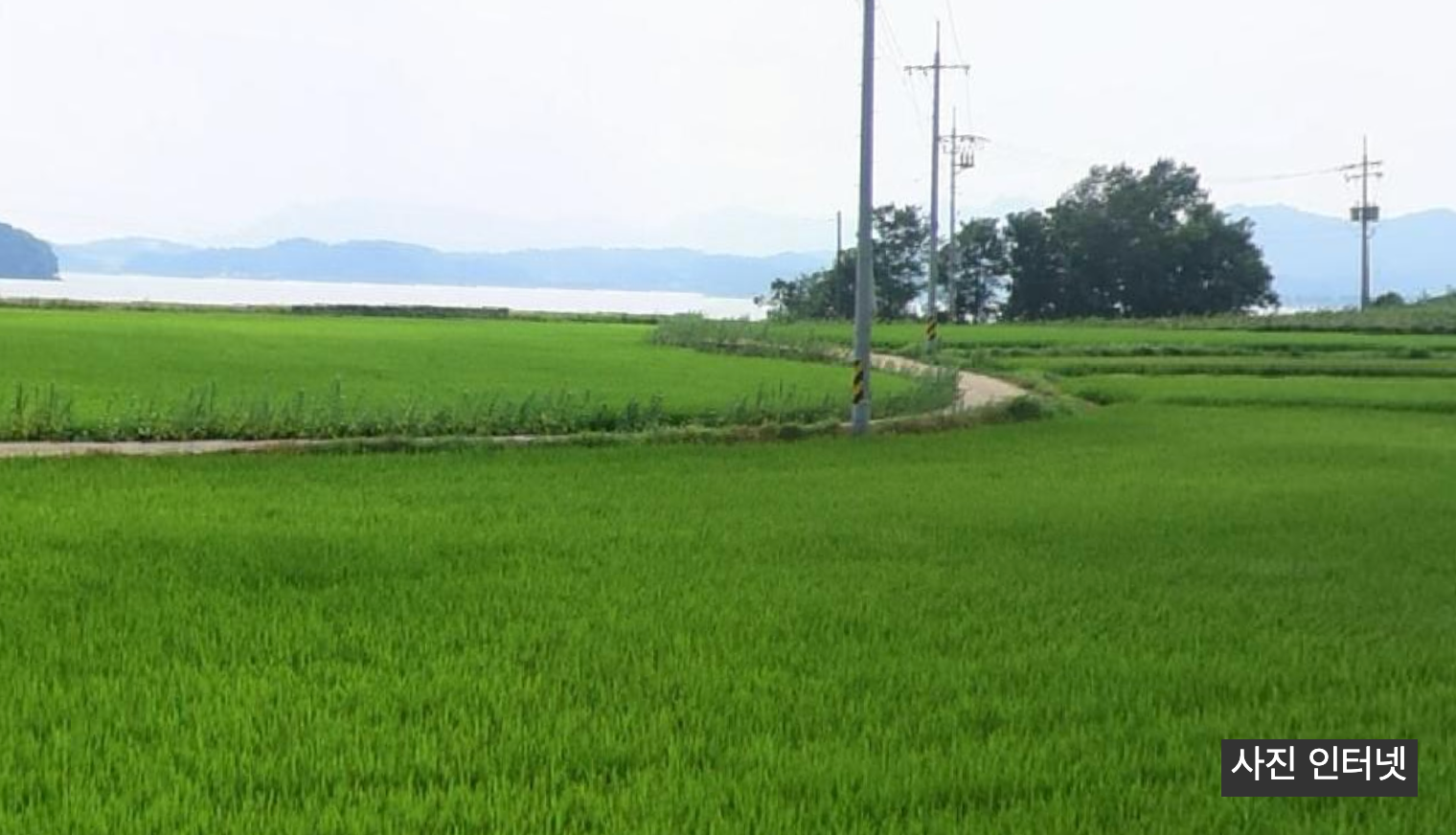 완도 영풍마을 여행 추천&amp;#44; 언니네산지직송2 촬영지 따라 떠나보기