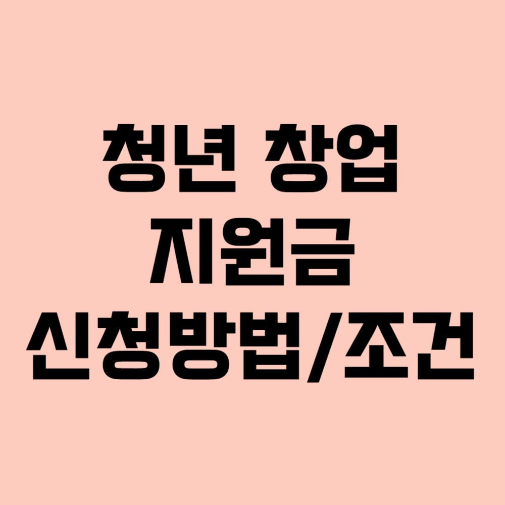 청년창업지원금