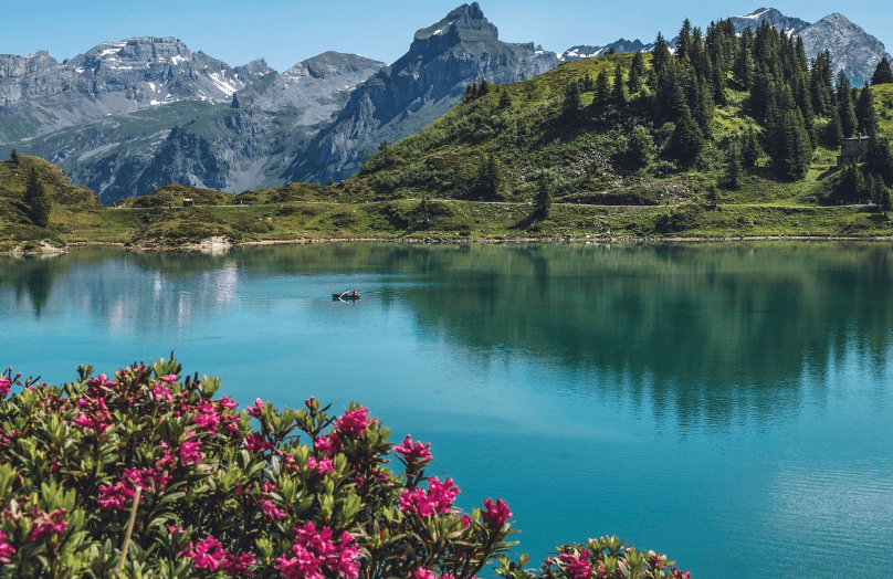 해돋이 명소 추천 best 5