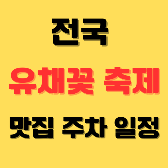 전국유채꽃축제