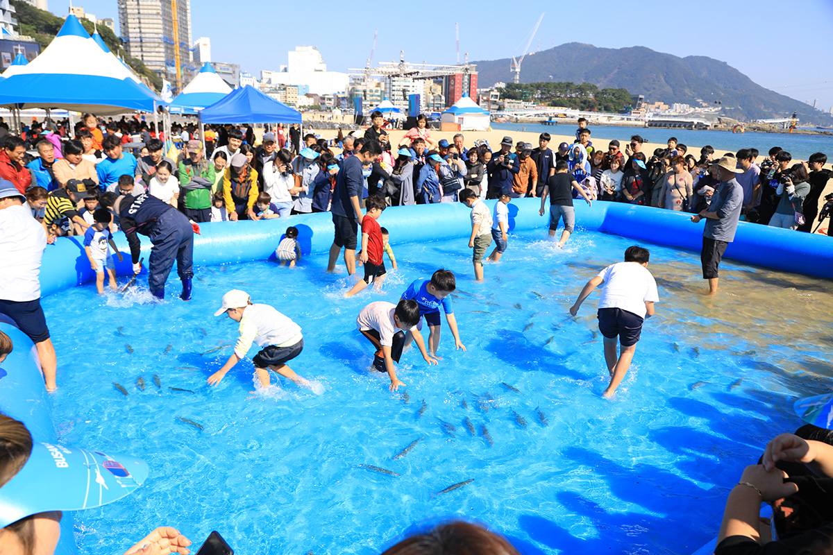 맨손고등어 잡기 체험 