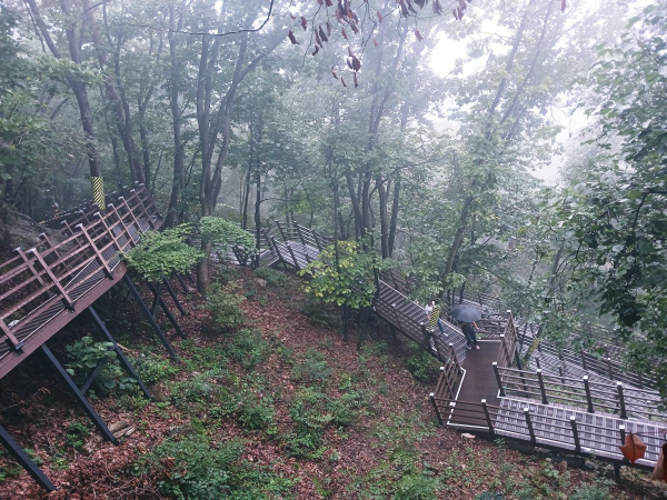 삼악산 데크길 코스