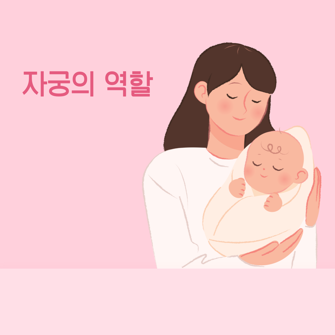 자궁경부암검사관계