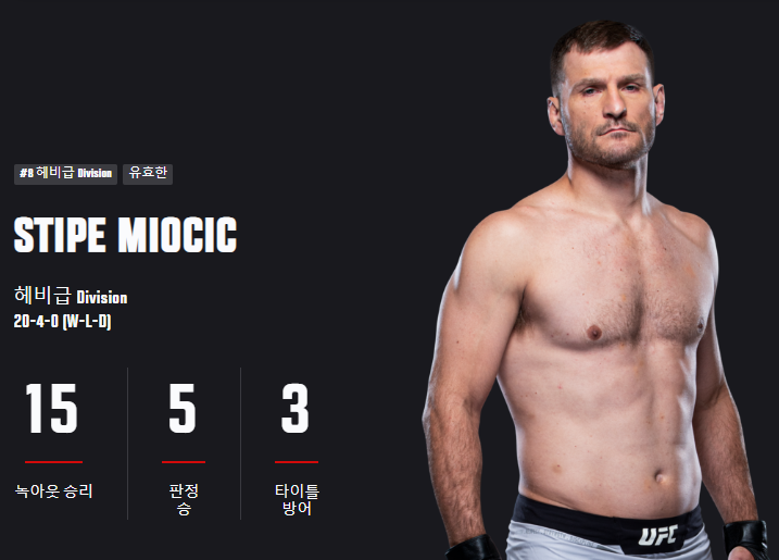 UFC 308