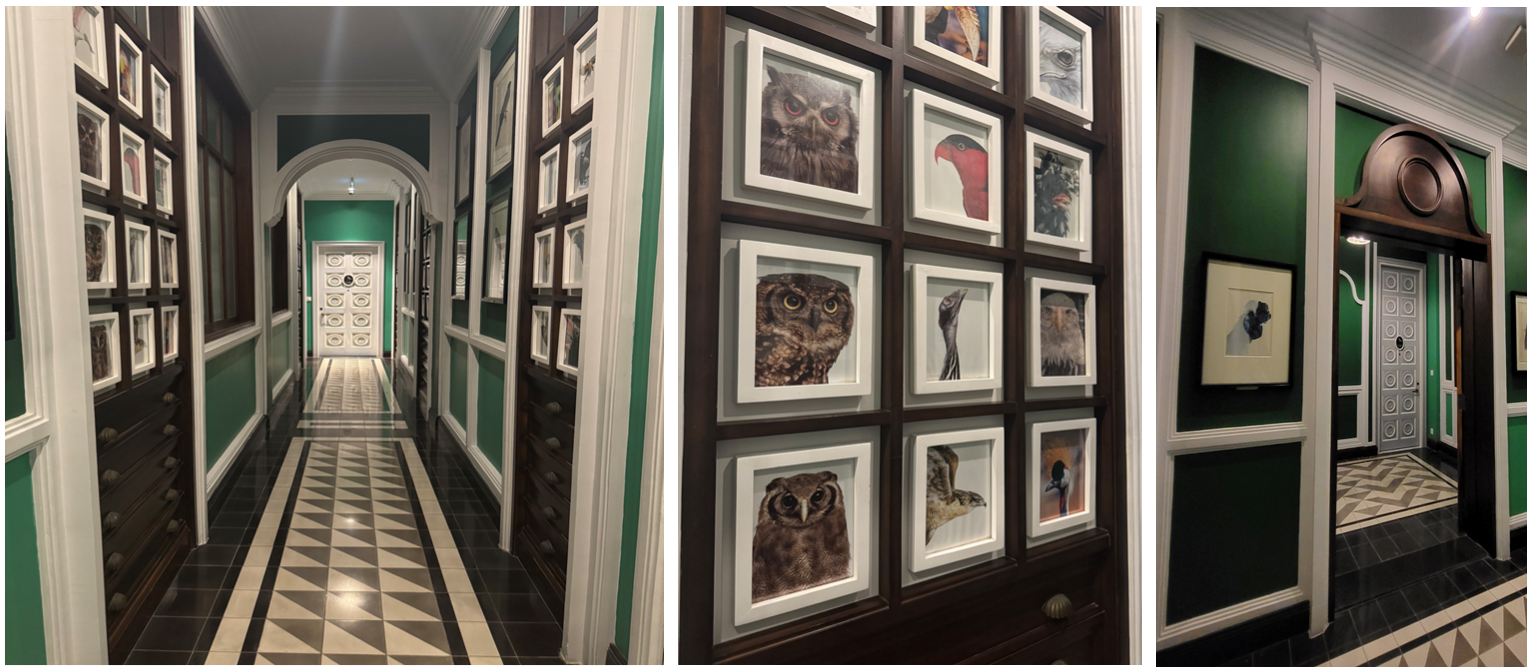 방으로 가는 복도(조류학과)