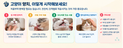 우리집냥이 입냄새 원인 구취가 심해졌다면 확인해야 할 건강 신호 치아 관리법 총정리