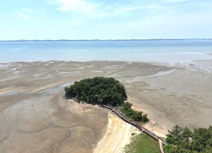 홍성 스카이 타워