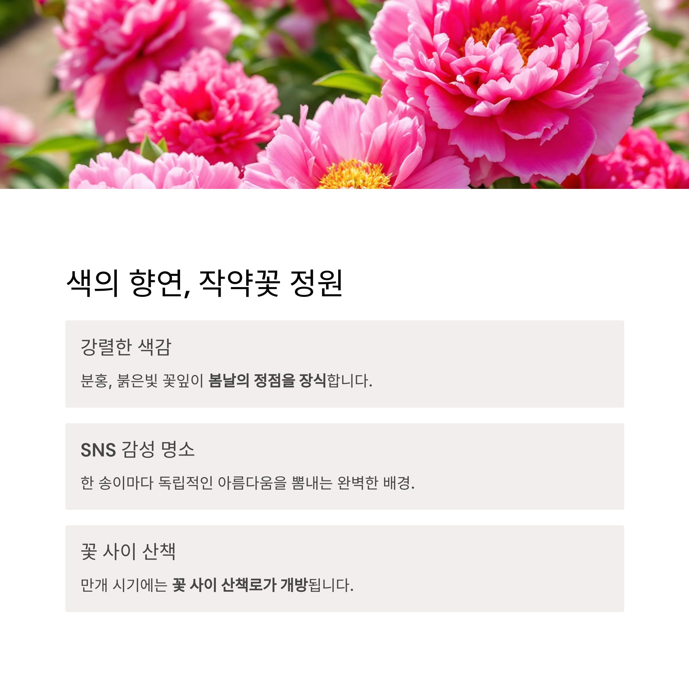 함안 청보리와 작약의 계절