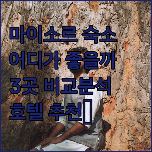 마이소르 여행, 어디에서 묵을까? 그..