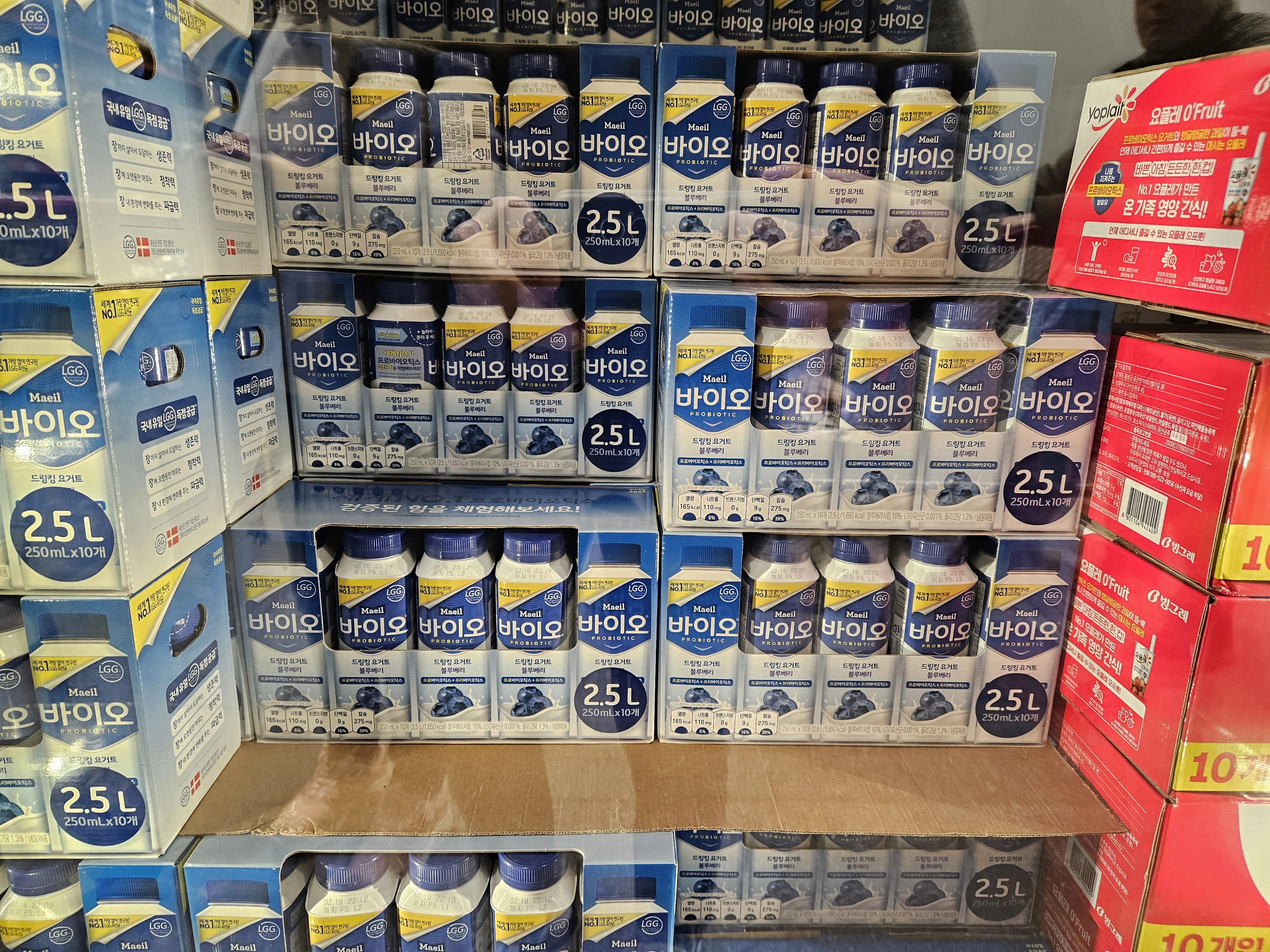 코스트코 매일 바이오 드링킹 요거트