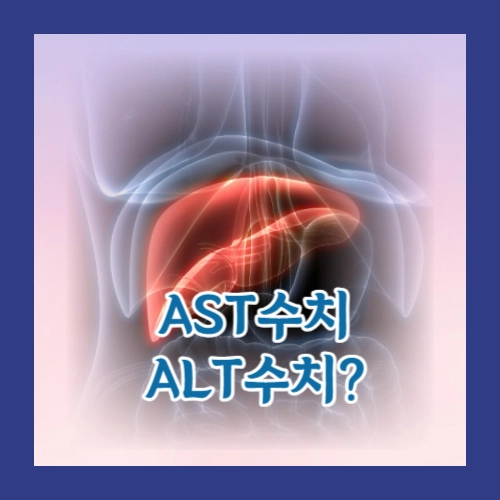 AST 수치 ALT 수치
