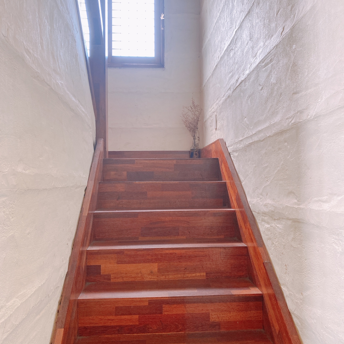 제주시청 대학로거리 주택개조 카페 라토커피