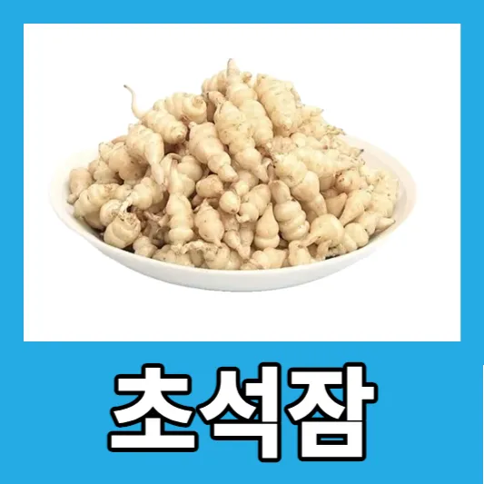 초석잠 4가지 효능 부작용 먹는방법 초석잠 차 초석잠 분말