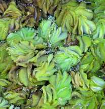 변비에 좋은 음식 해결방법 운동