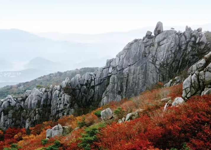 덜 알려진 단풍 명소 3군데 (장태산 자연휴양림&amp;#44; 금정산&amp;#44; 상화동산)