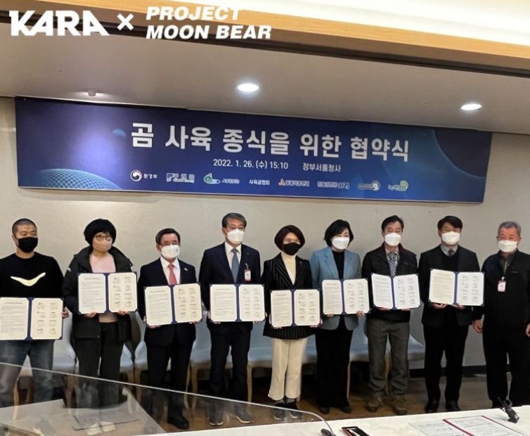 입법과 정책 변화