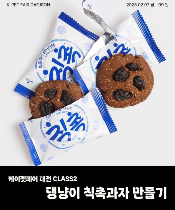 케이펫페어 체험클래스