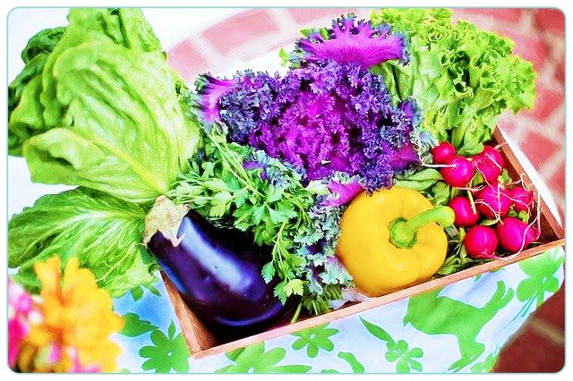 홈트레이닝-근력운동-vegetables