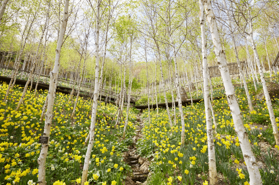 화담숲 예약 취소 방법&amp;#44; 수수료&amp;#44; 환불 가능기간&amp;#44; 모바일 취소&amp;#44; 예약변경