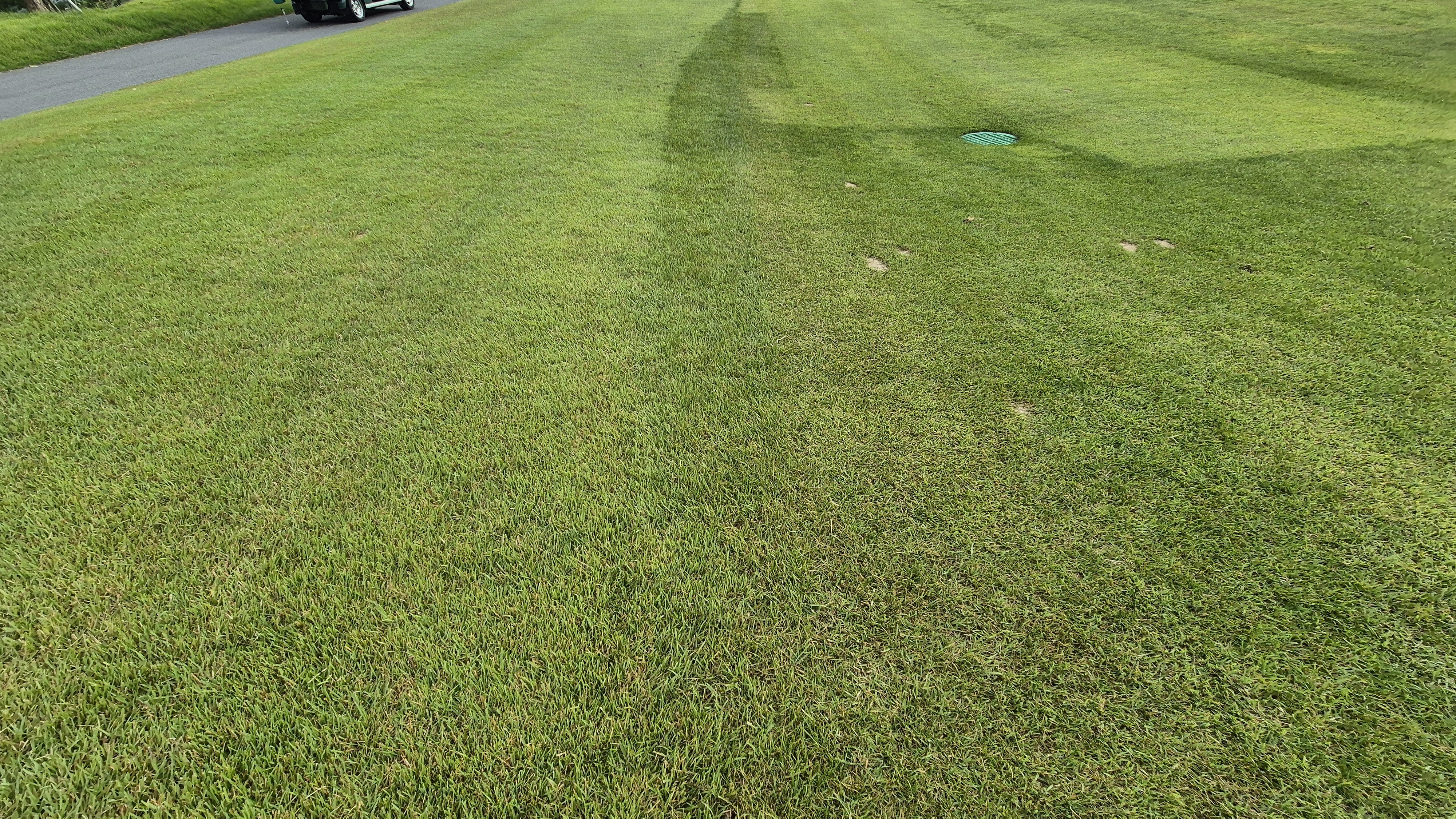 오로라cc 코스 관리 상태