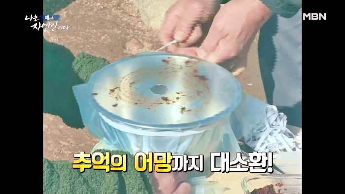 나는 자연인이다 부동산 투자 은퇴 후 추억의 솥뚜껑 토스트 감자전 어머니 레시피 머랭 빵 만드는 자연인 유민재 소개 및 이승윤 출연 546회 다시보기