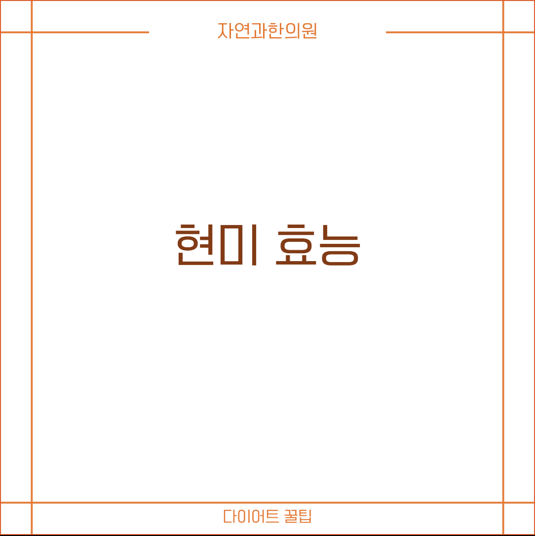 현미 효능 식사 후 허기를 줄이는 데 좋아요!