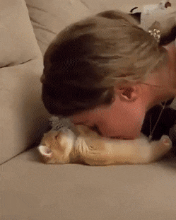 11월 23일 목 신문스크랩