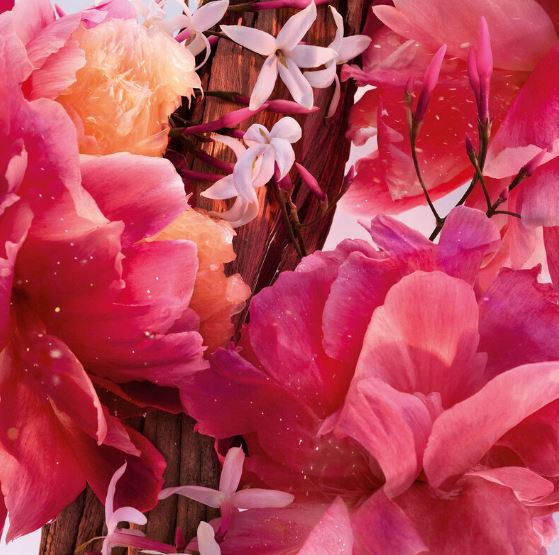 미스 디올 퍼퓸