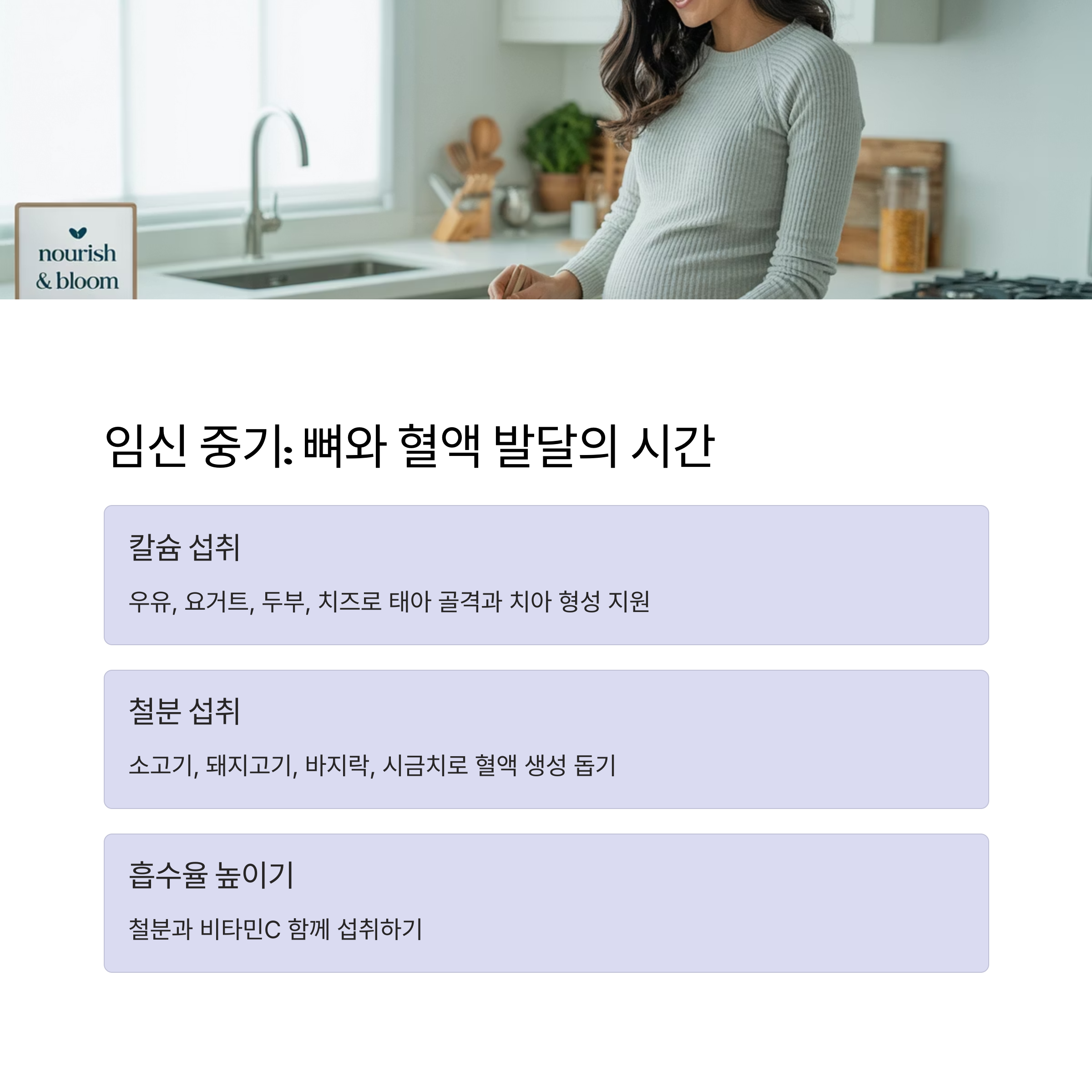 태아의 골격과 혈액 생성을 위한 중기 식단 구성 안내 이미지