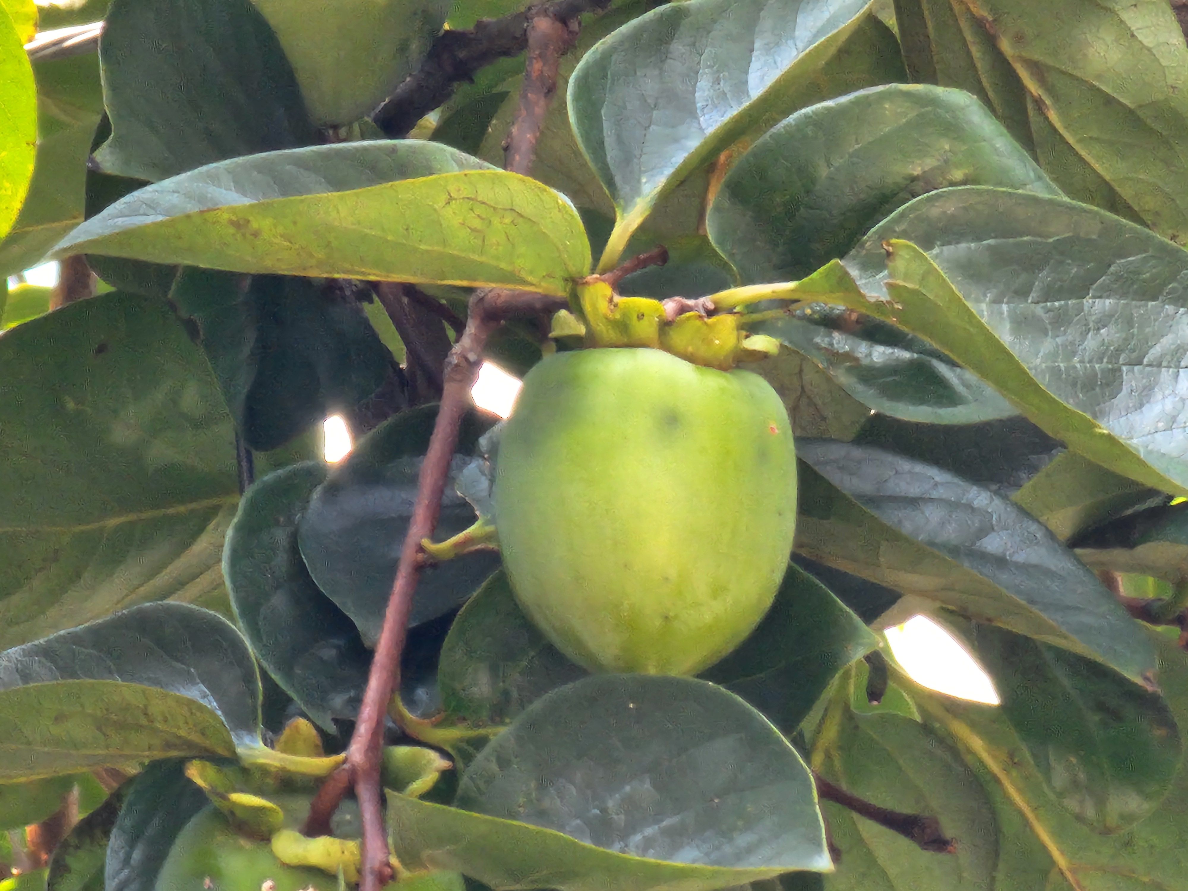 Alt 속성 문제 해결 설명 이미지