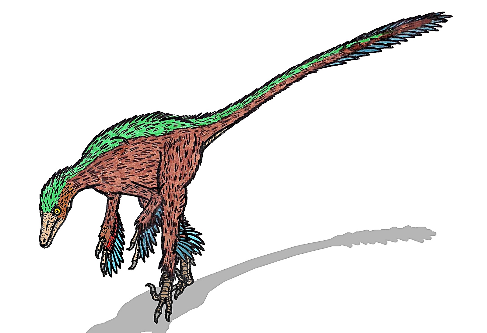 트로오돈의 상상 복원도