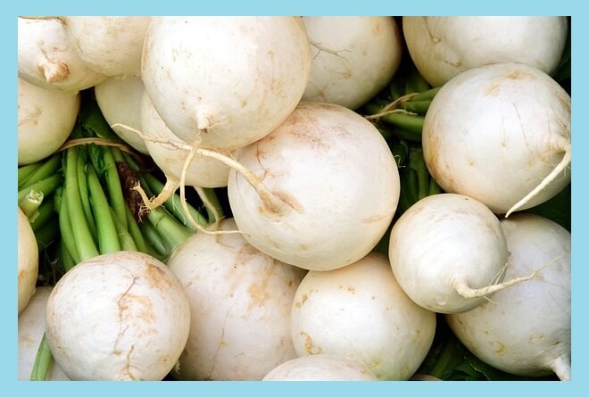 동치미-재료-무