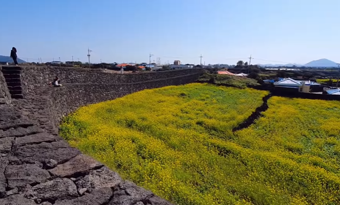 국내 봄 여행지