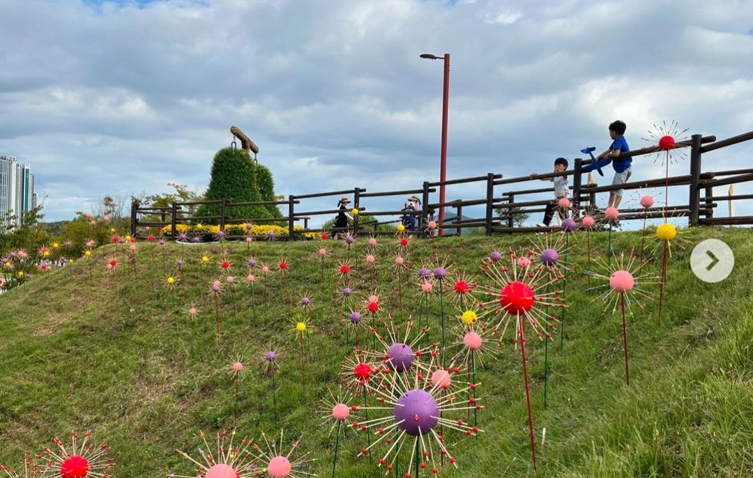 드림파크국화축제