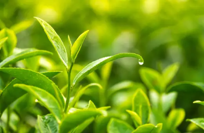 고혈압 원인 및 증상&amp;#44; 고혈압에 좋은 음식