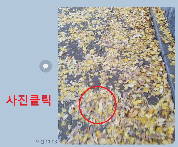 채팅방에서 사진 클릭함