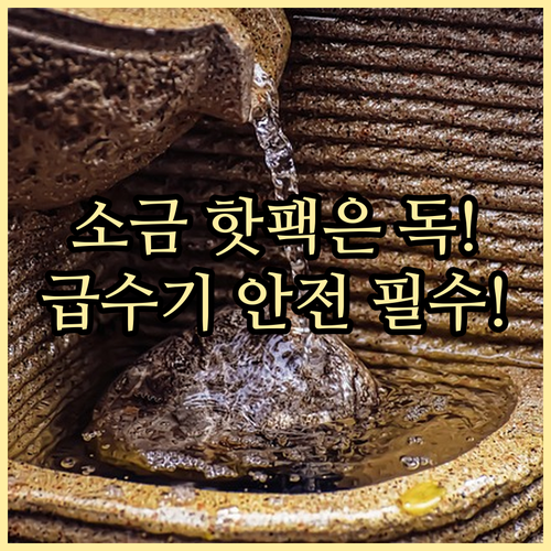 소금과 핫팩은 절대 금지 반려묘 급수..