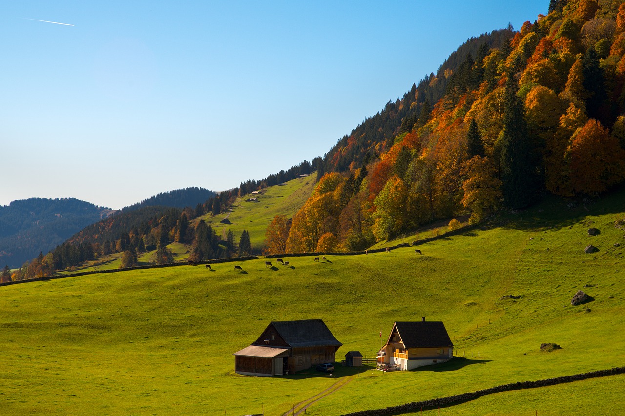 정서적 안정 관련 사진
