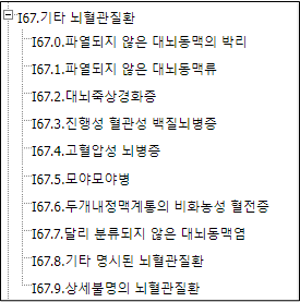 기타뇌혈관질환-세부분류코드