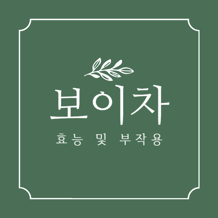 보이차-효능-부작용-카페인-영양성분-항산화-심혈관-임신-수유