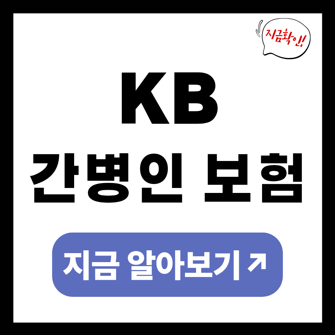 KB간병인 보험