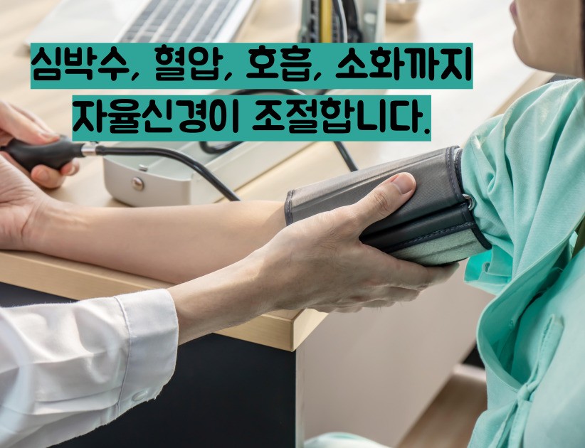 자율신경 실조증