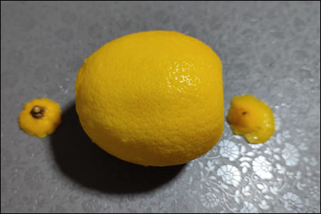 레몬 양쪽 끝 자르기