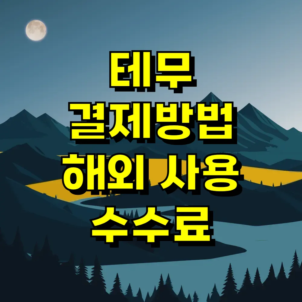 테무 결제방법 해외 사용 수수료