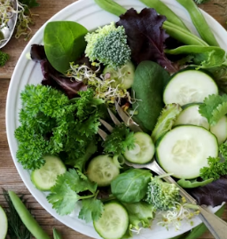 녹내장 초기증상 원인 치료법