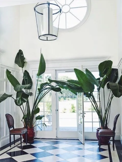 거실 큰화분 배치요령 물주기 바퀴받침 이동 어르신도 안전하게_3