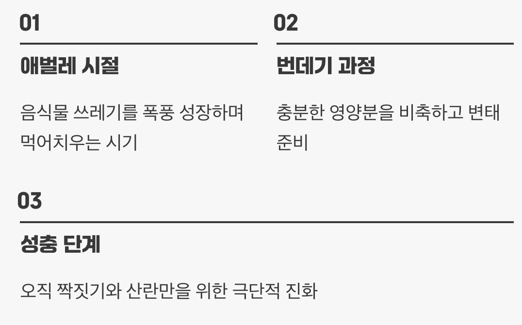 한 가지 임무를 위해 바쳐진 삶