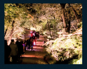 2024 창덕궁 달빛기행 하반기 잔여석 예매 방법