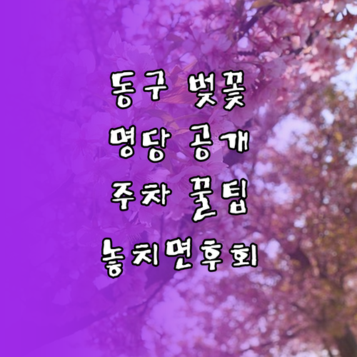 대구 동구 벚꽃 구경하기 좋은 곳과 ..