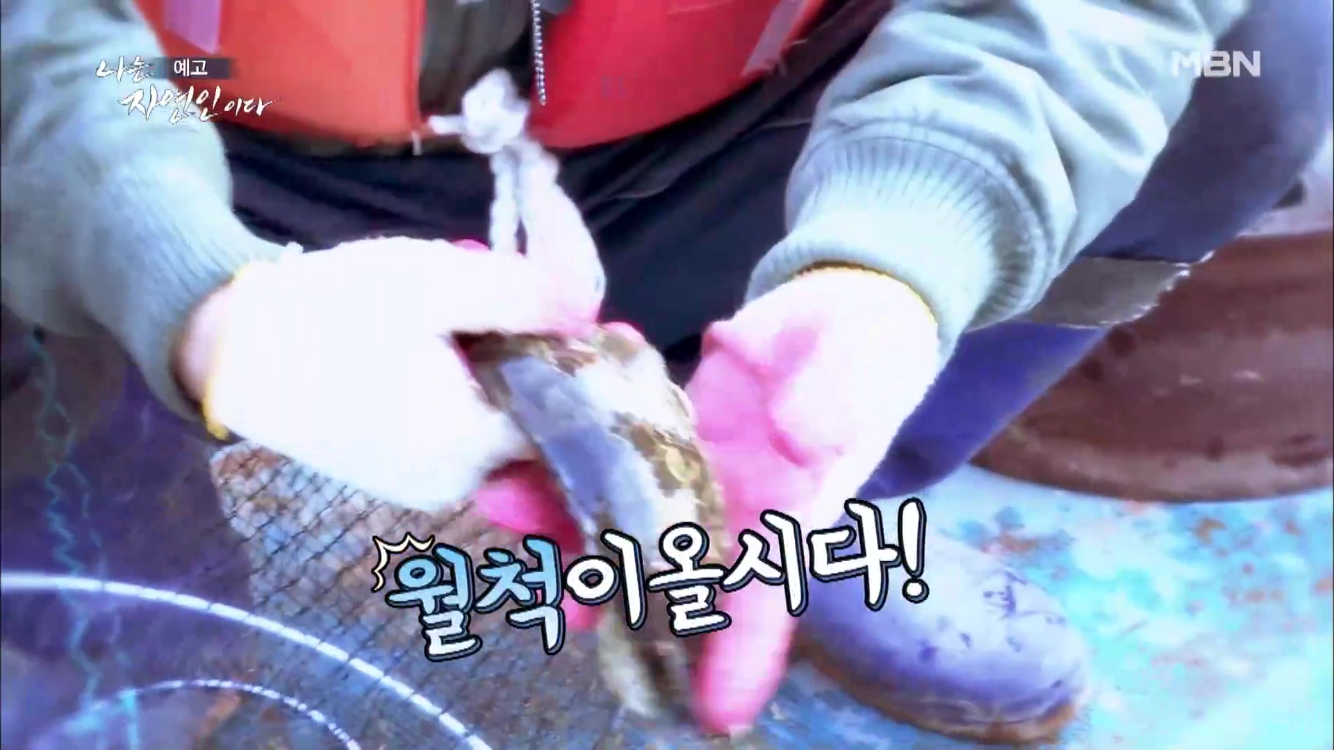 나는 자연인이다 쏘가리 회 장어구이 장어 곰탕 자유로이 산과 호수를 누비는 자연인 기호곤 소개 및 윤택 출연 547회 다시보기